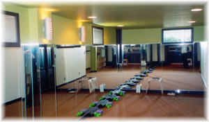 Gym Area for Classes